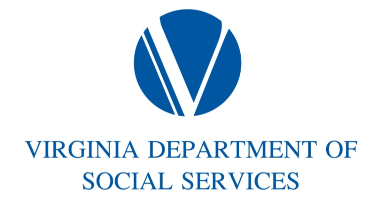 VA DSS logo